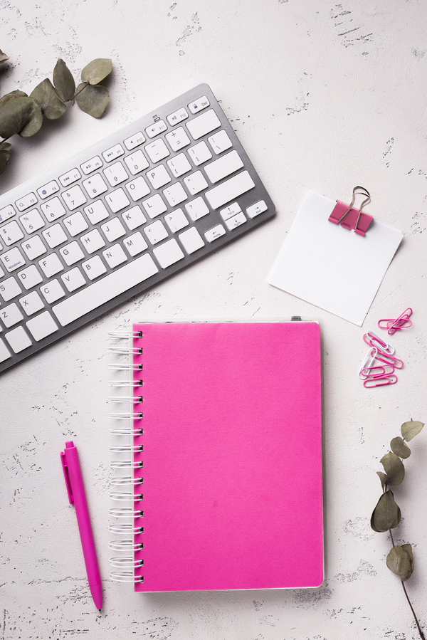 Le programme de formation